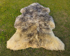 Sheepskin Fur Rug – Yellowish Base with Grey Tips