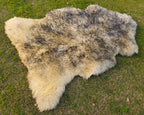 Sheepskin Fur Rug – Yellowish Base with Grey Tips