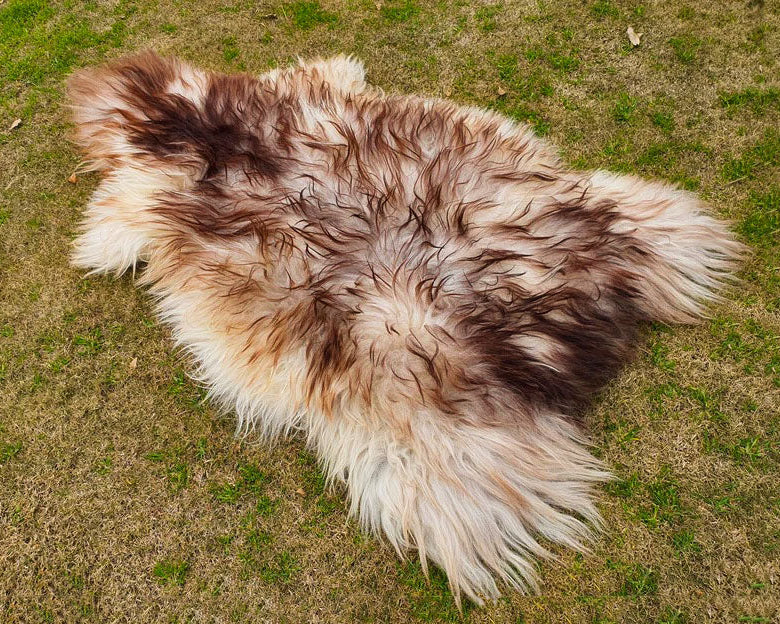 Ivory Sheepskin Rug with Chocolate Brown Tips