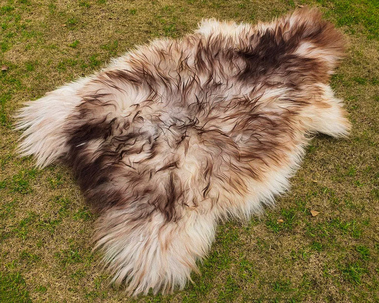 Ivory Sheepskin Rug with Chocolate Brown Tips
