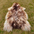 Ivory Sheepskin Rug with Chocolate Brown Tips