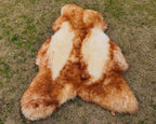 Sheepskin Rug – White Base with Brown Tips – Unique Design