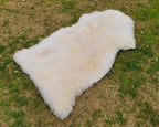 Sheepskin Rug in Natural White