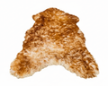 Exotic Sheepskin Rug – Brown Tipped