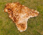Exotic Sheepskin Rug – Brown Tipped