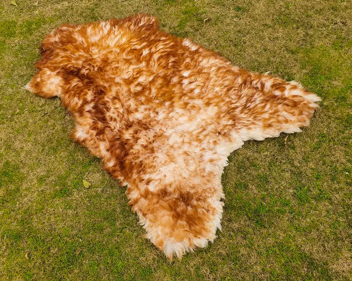 Exotic Sheepskin Rug – Brown Tipped