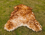 Exotic Sheepskin Rug – Brown Tipped