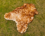 Exotic Sheepskin Rug – Brown Tipped