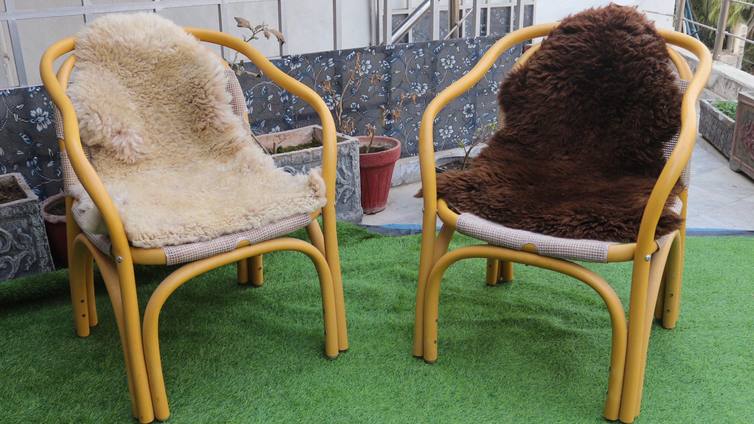 Genuine Sheepskin Rugs – Chocolate Brown and Ivory Colors