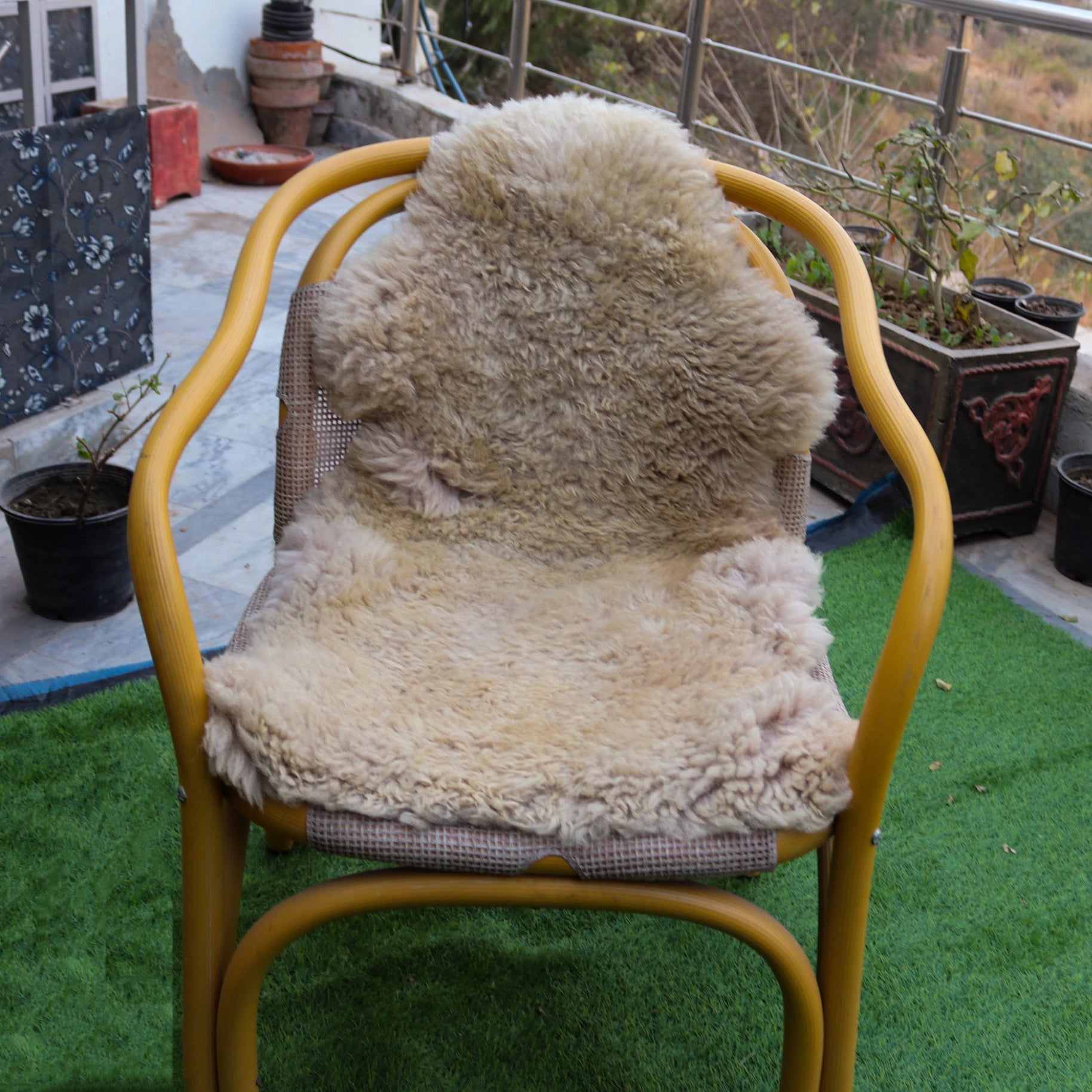 Genuine Sheepskin Rugs – Chocolate Brown and Ivory Colors