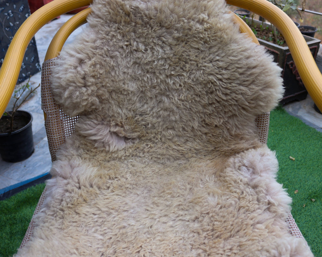 Genuine Sheepskin Rugs – Chocolate Brown and Ivory Colors