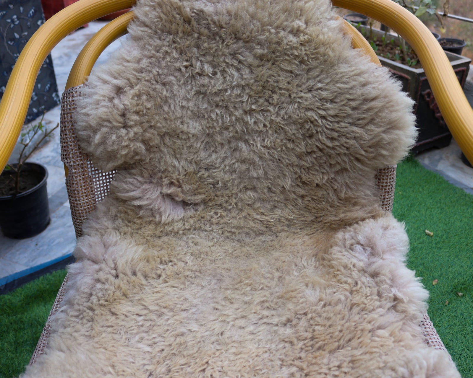Genuine Sheepskin Rugs – Chocolate Brown and Ivory Colors