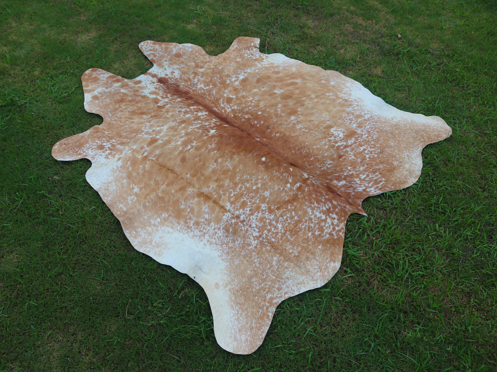 Tan And White Cowhide Rugs Style 04