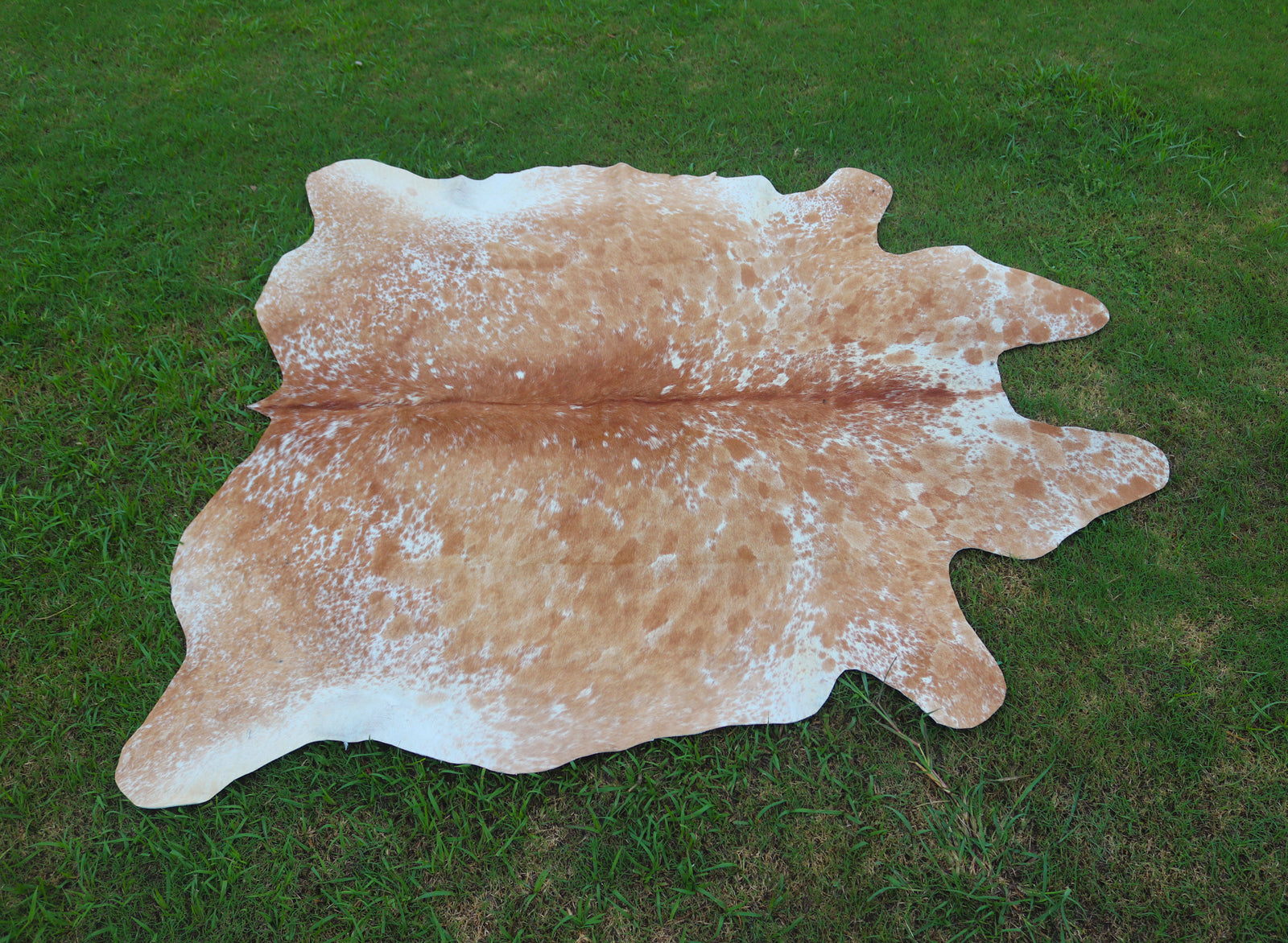Tan And White Cowhide Rugs Style 04