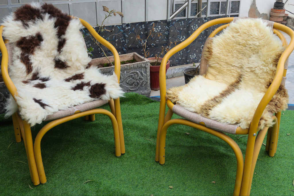 Real Sheepskin Rugs – Unique Designs