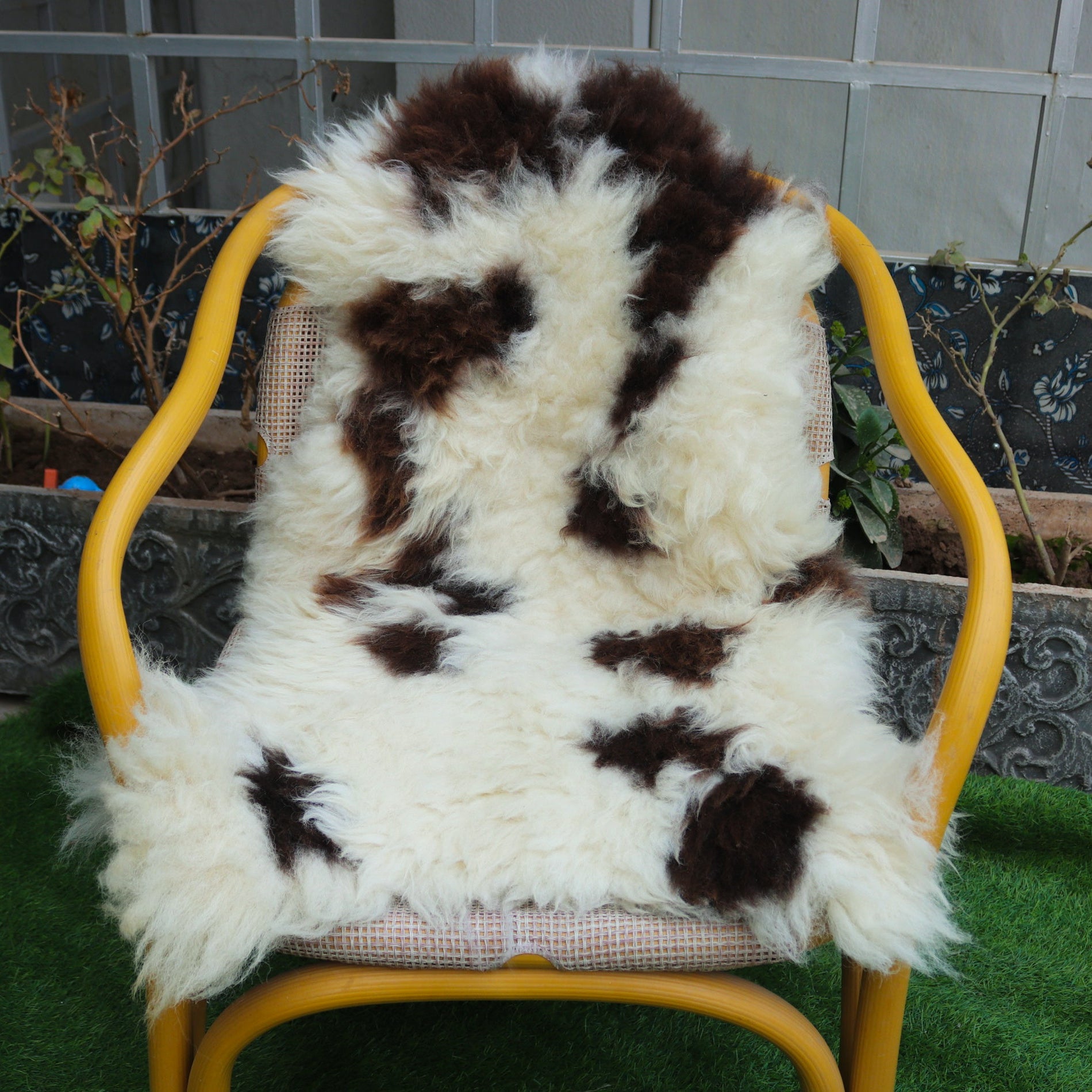Real Sheepskin Rugs – Unique Designs