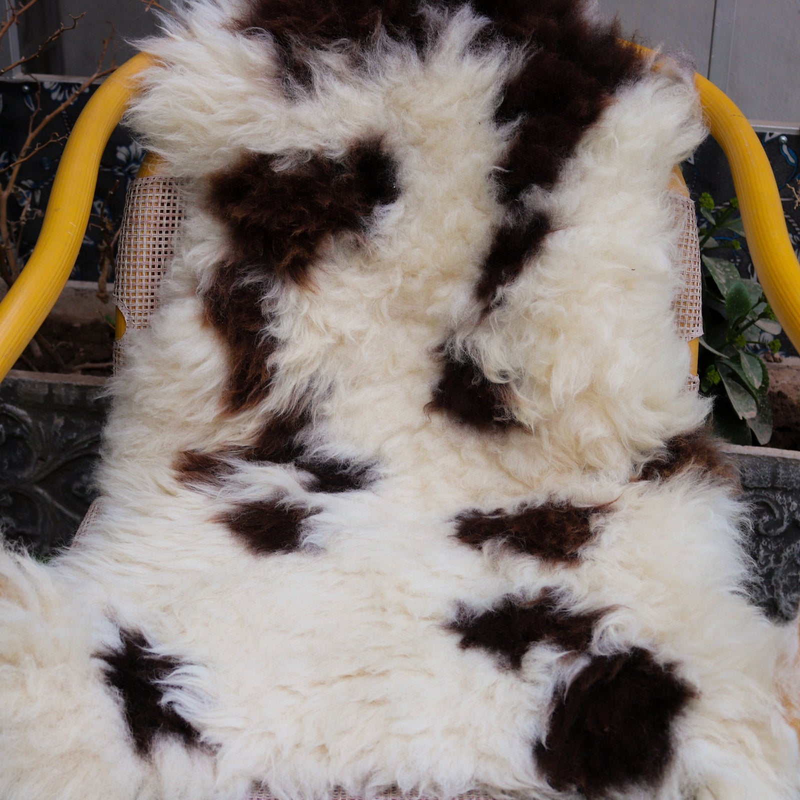 Real Sheepskin Rugs – Unique Designs