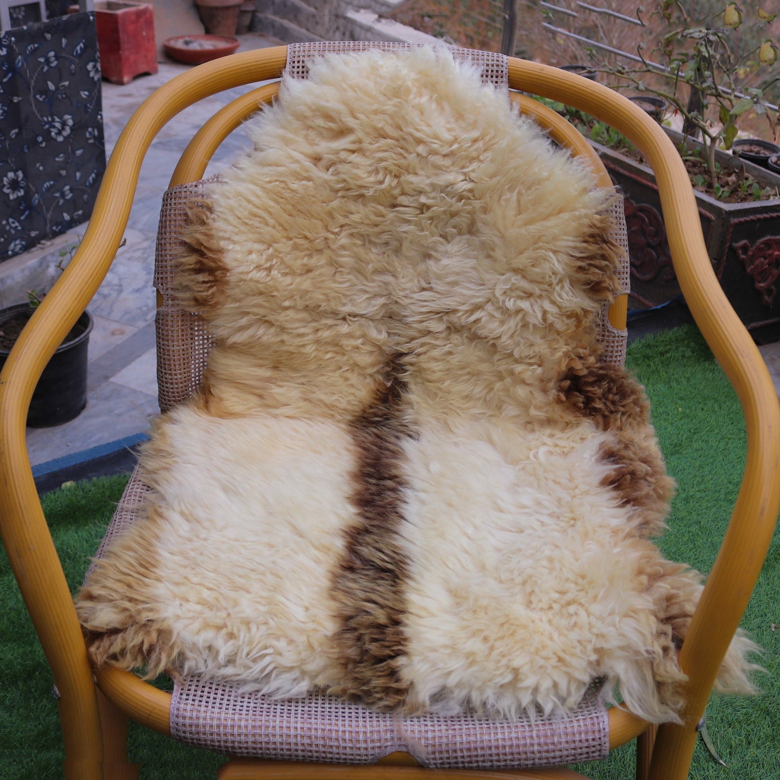 Real Sheepskin Rugs – Unique Designs