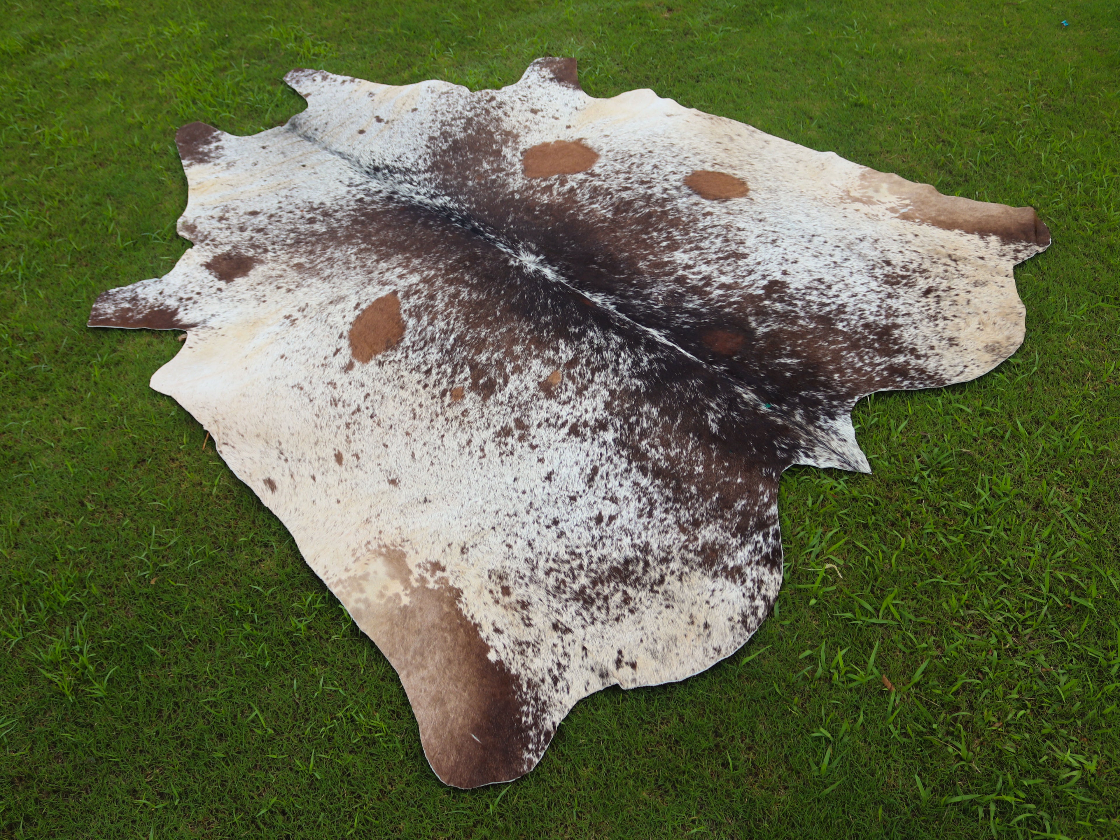Tricolor Salt and Pepper Print Cowhide Rug