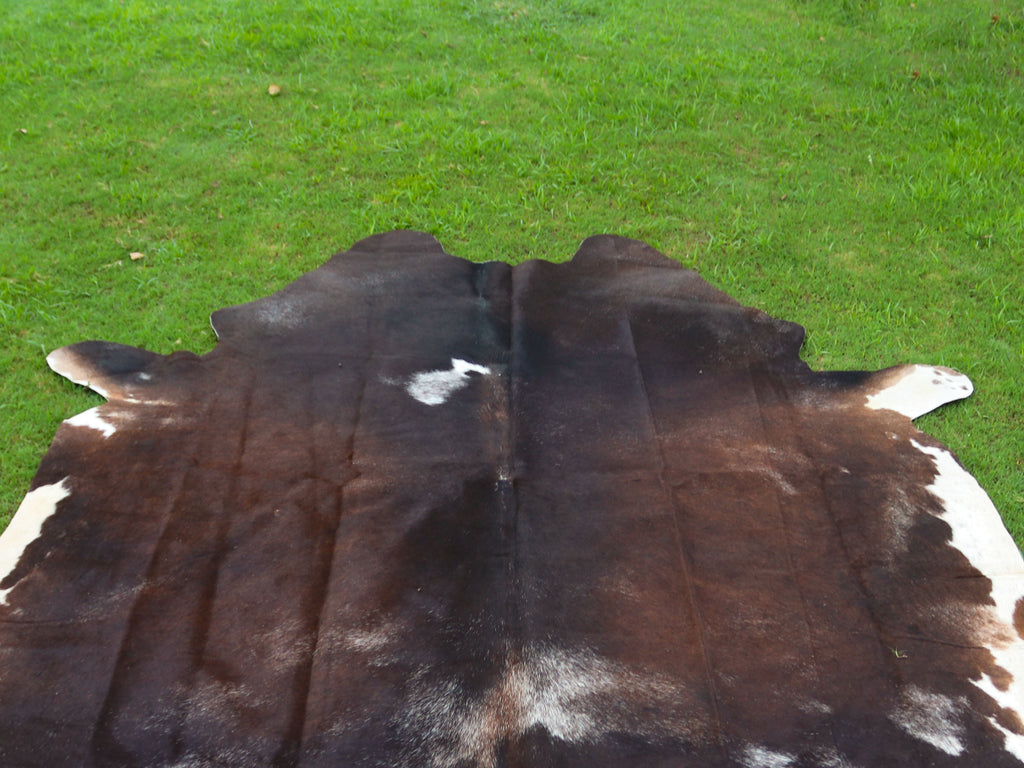 Tricolor Chocolate Brown Hair-On Cowhide Rug