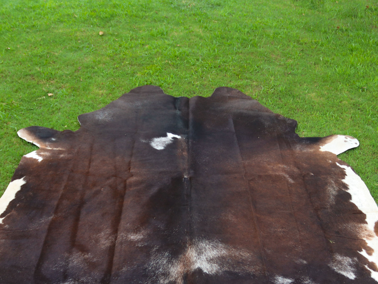 Tricolor Chocolate Brown Hair-On Cowhide Rug