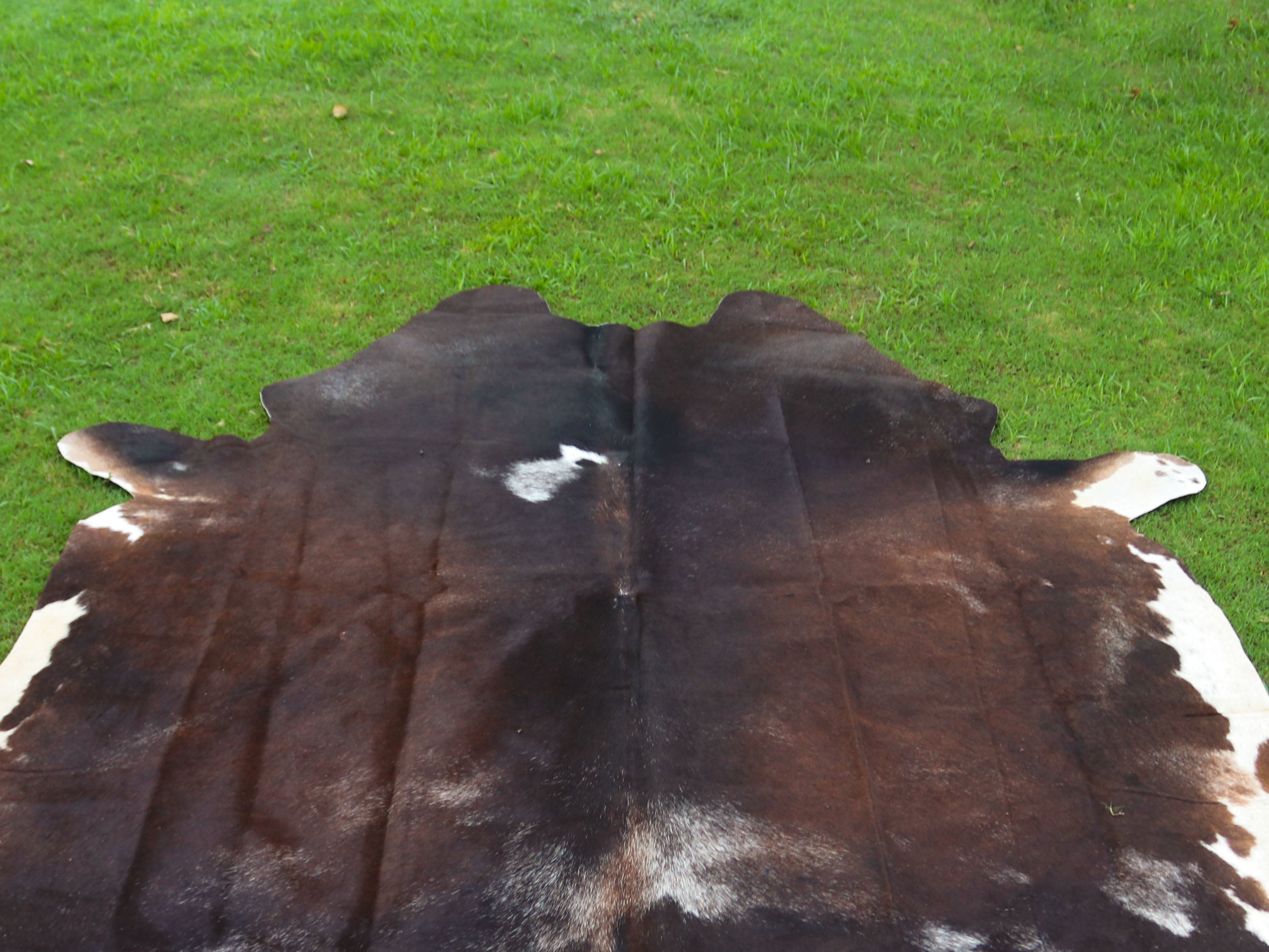 Tricolor Chocolate Brown Hair-On Cowhide Rug