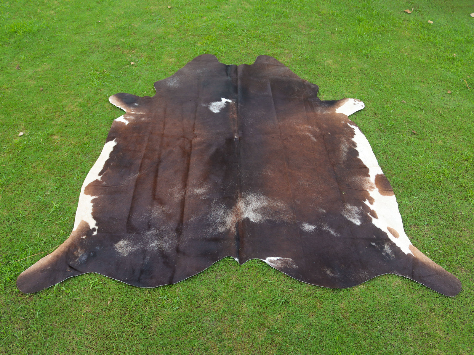 Tricolor Chocolate Brown Hair-On Cowhide Rug