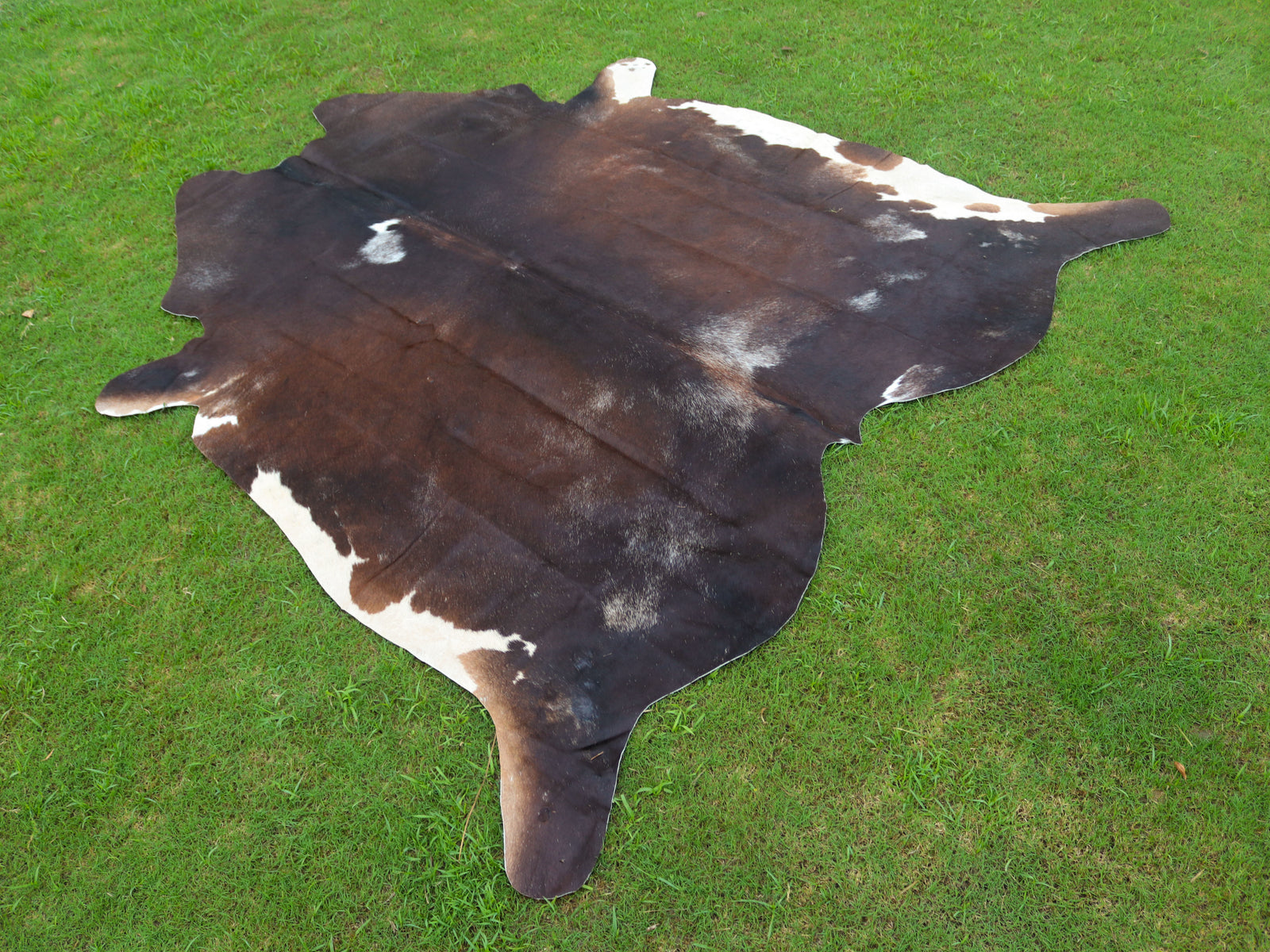 Tricolor Chocolate Brown Hair-On Cowhide Rug