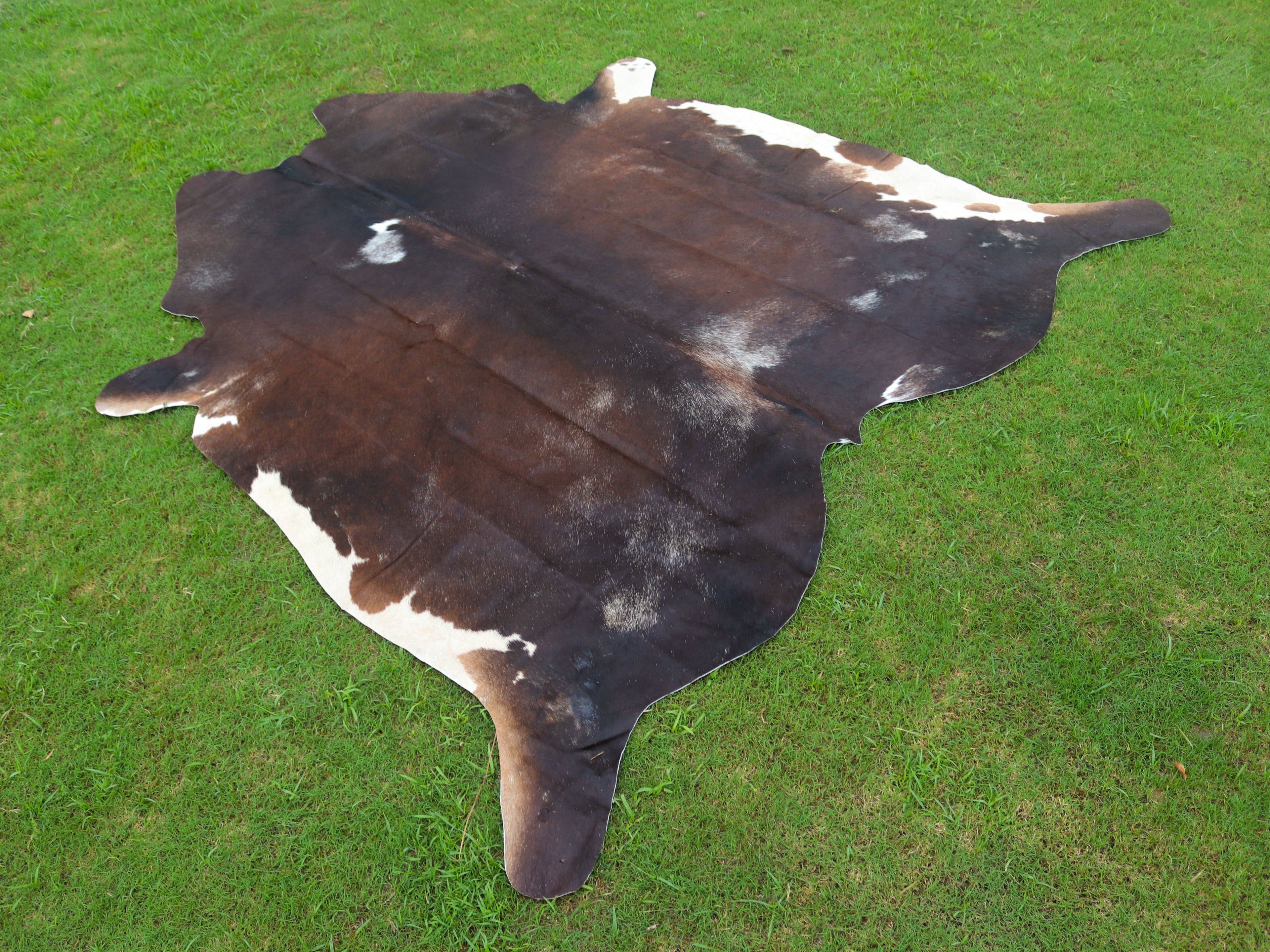 Tricolor Chocolate Brown Hair-On Cowhide Rug