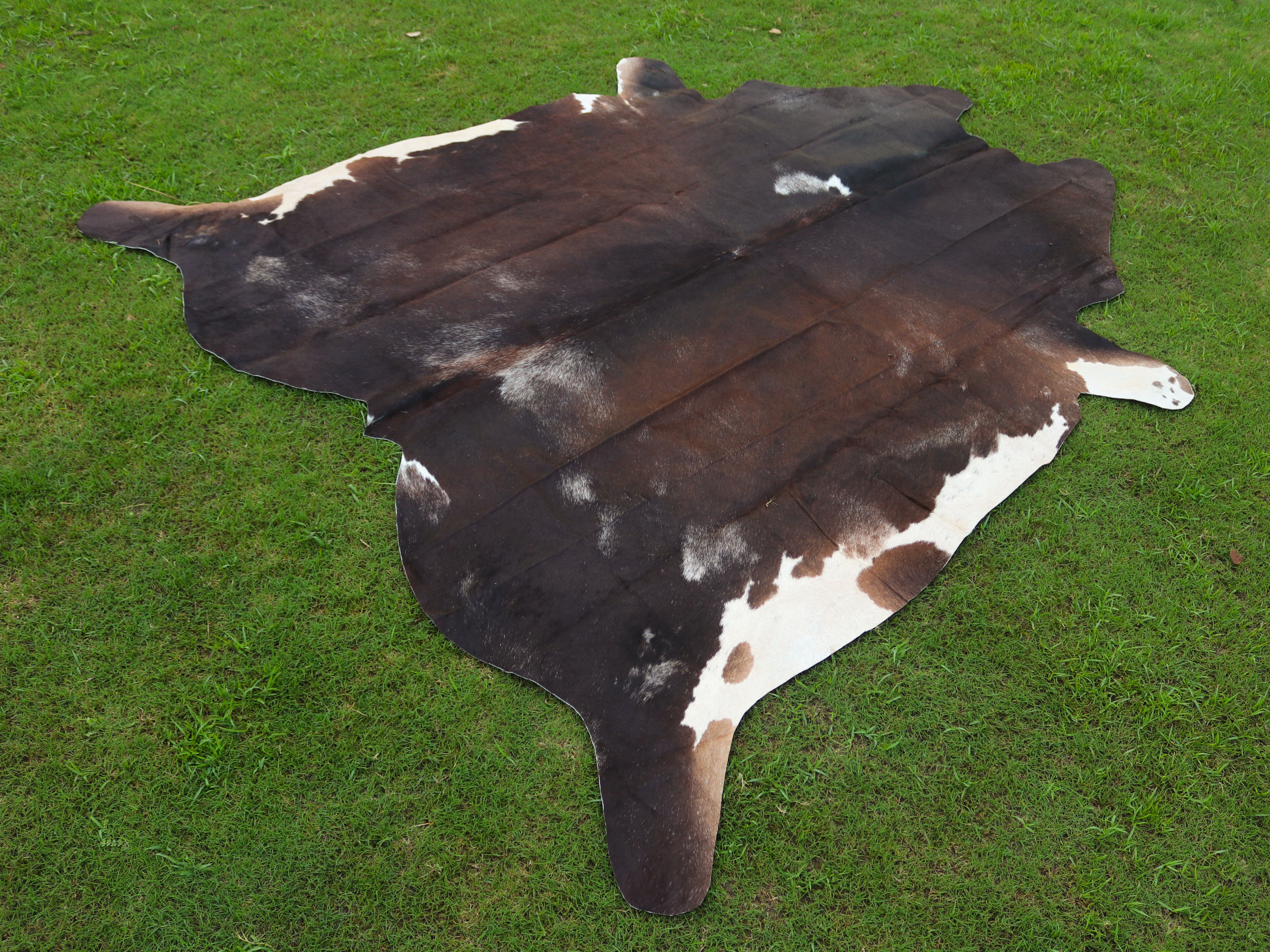 Tricolor Chocolate Brown Hair-On Cowhide Rug