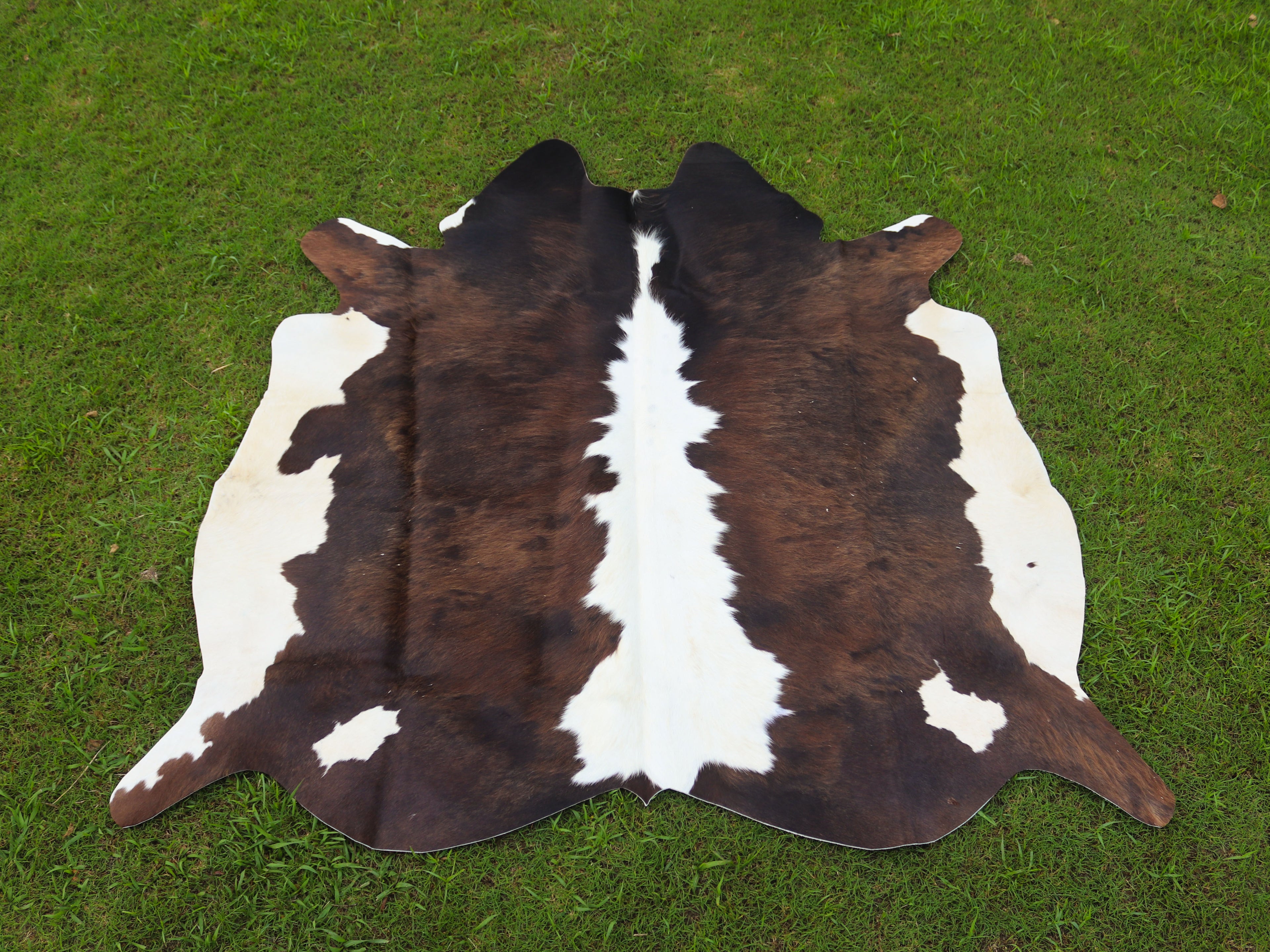 Chocolate Brown and White Hereford Cowhide Rug