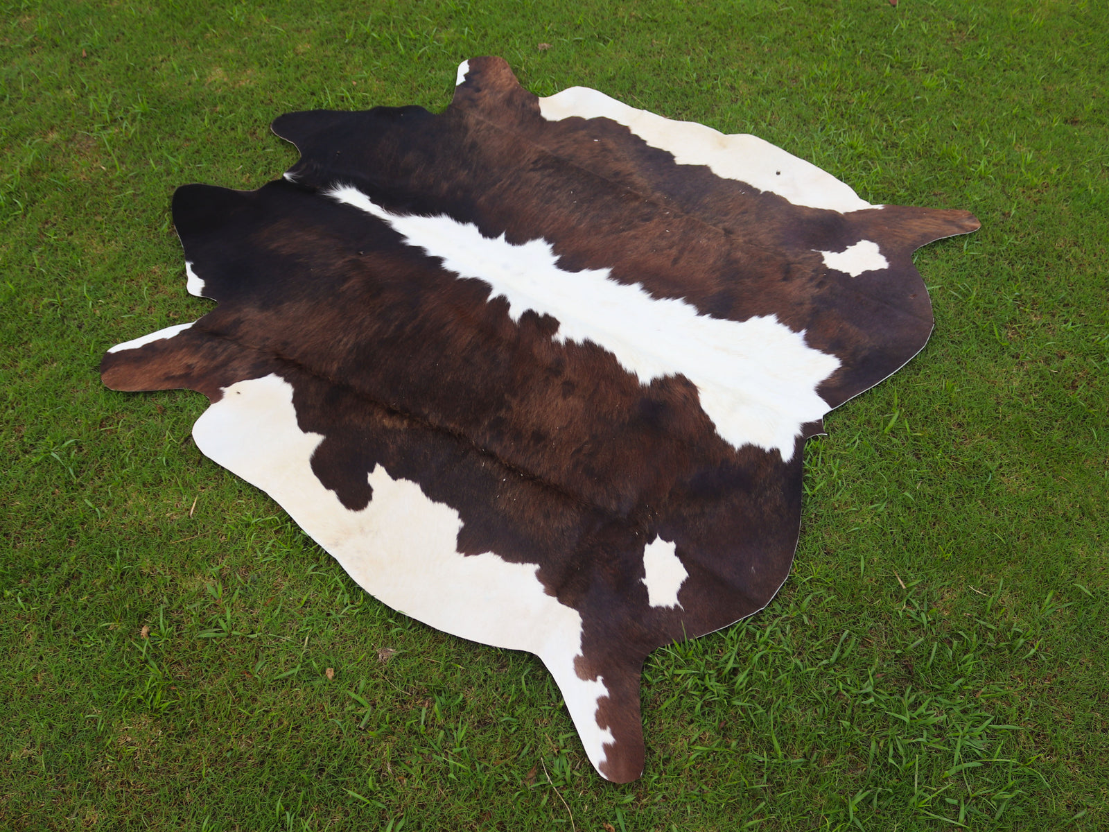 Chocolate Brown and White Hereford Cowhide Rug