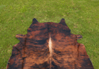 Reddish Brown Brindle Cowhide Rug
