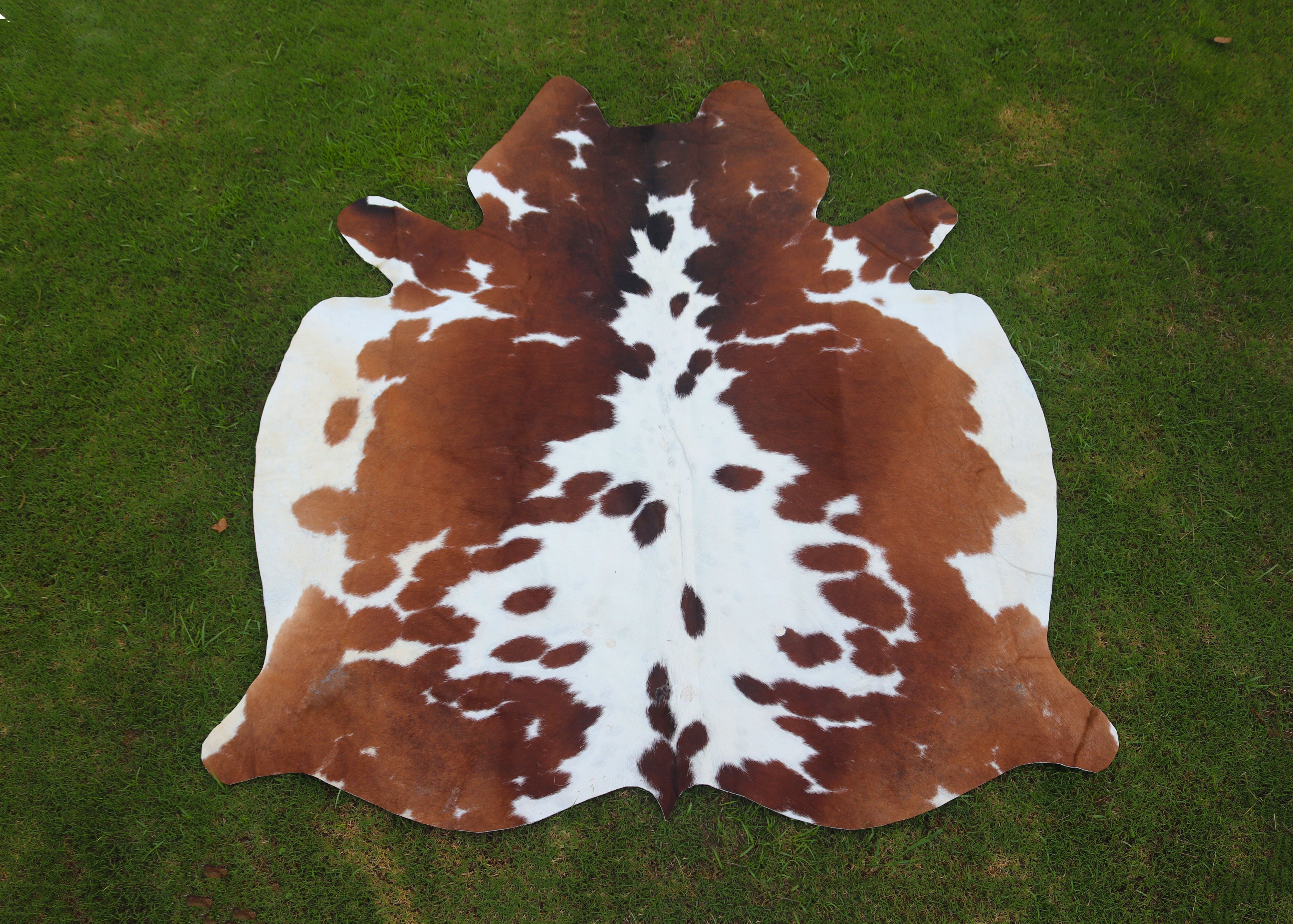 Reddish Brown and White Luxury Hereford Cowhide Rug