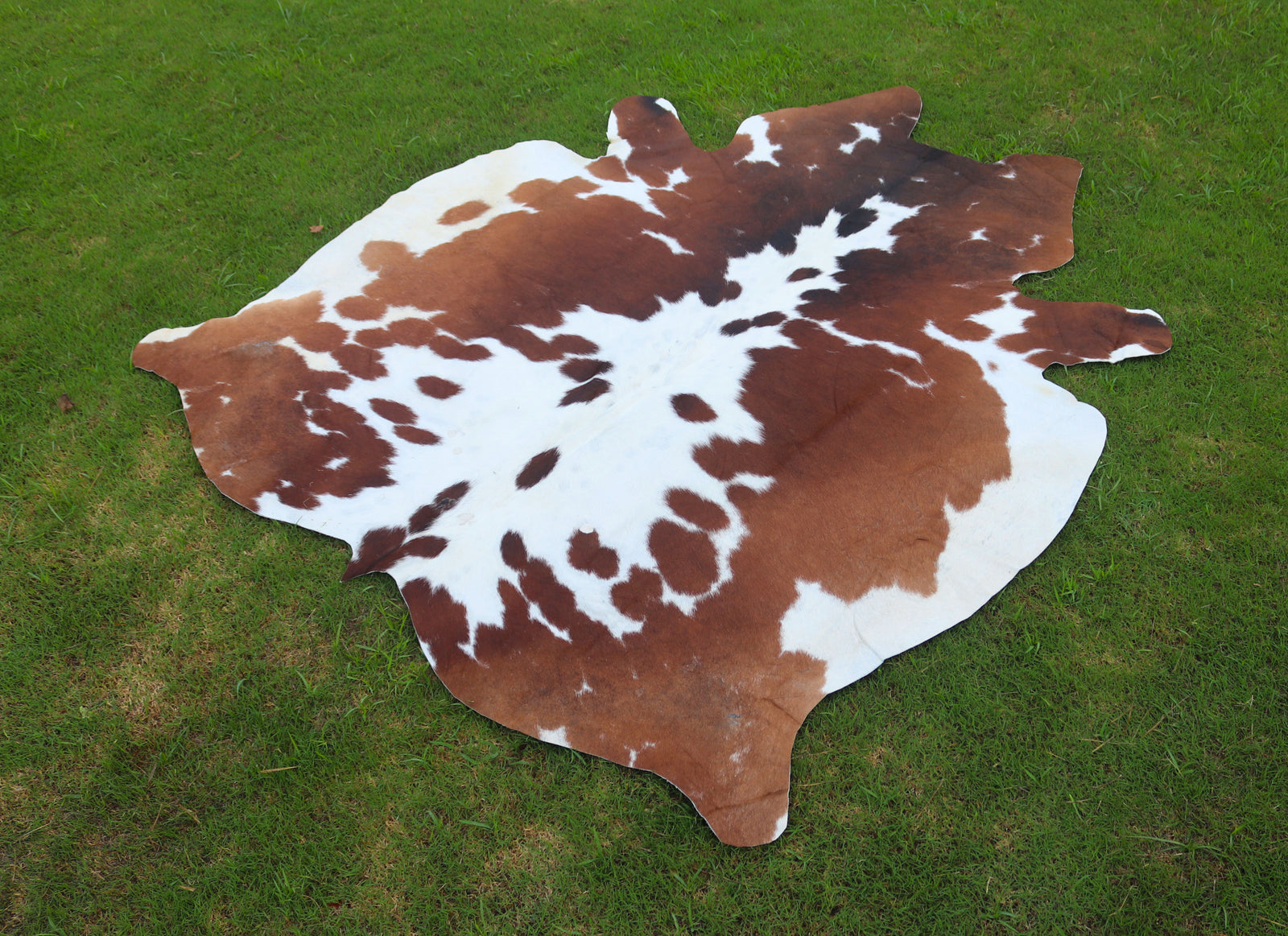 Reddish Brown and White Luxury Hereford Cowhide Rug
