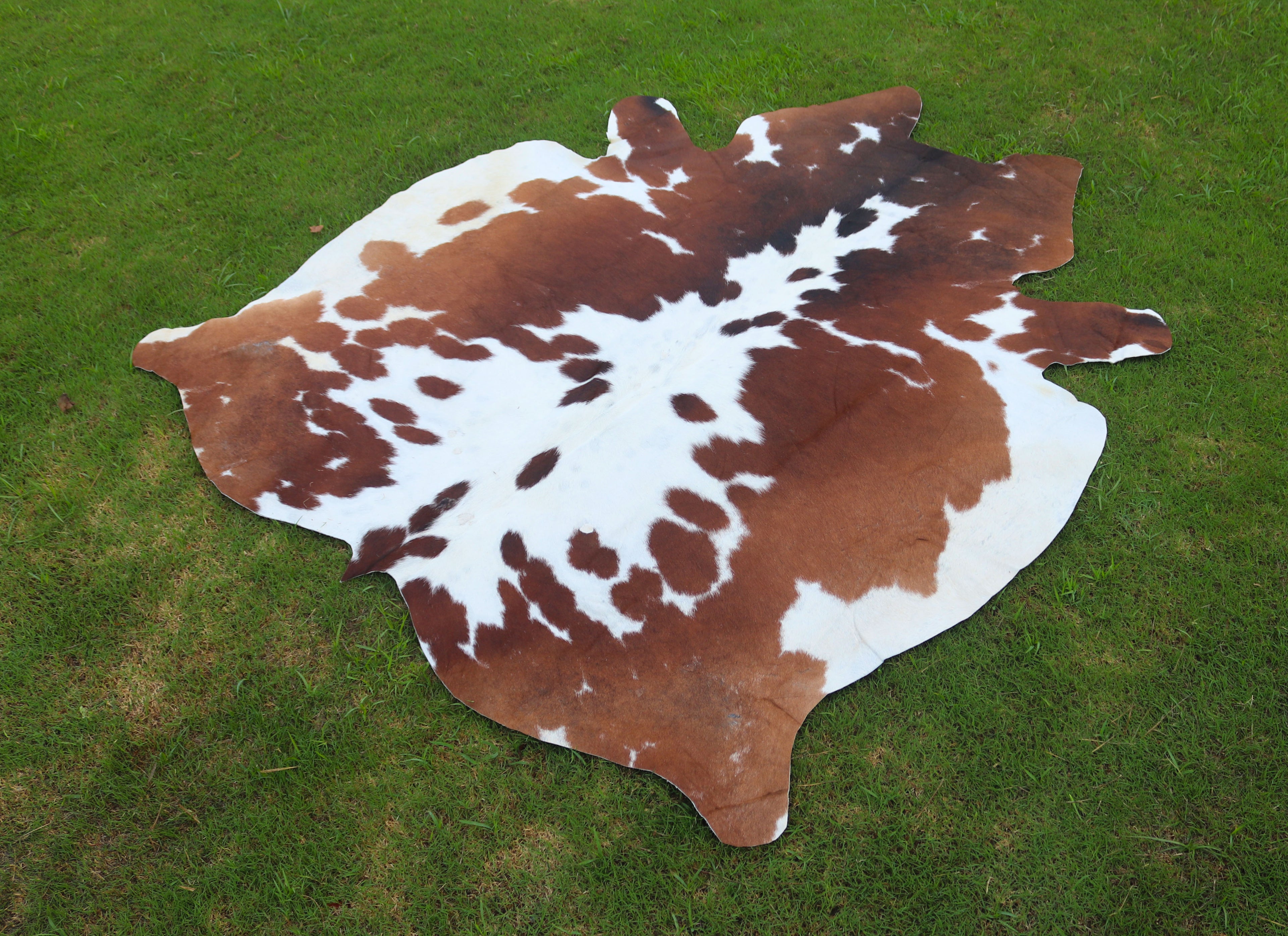 Reddish Brown and White Luxury Hereford Cowhide Rug