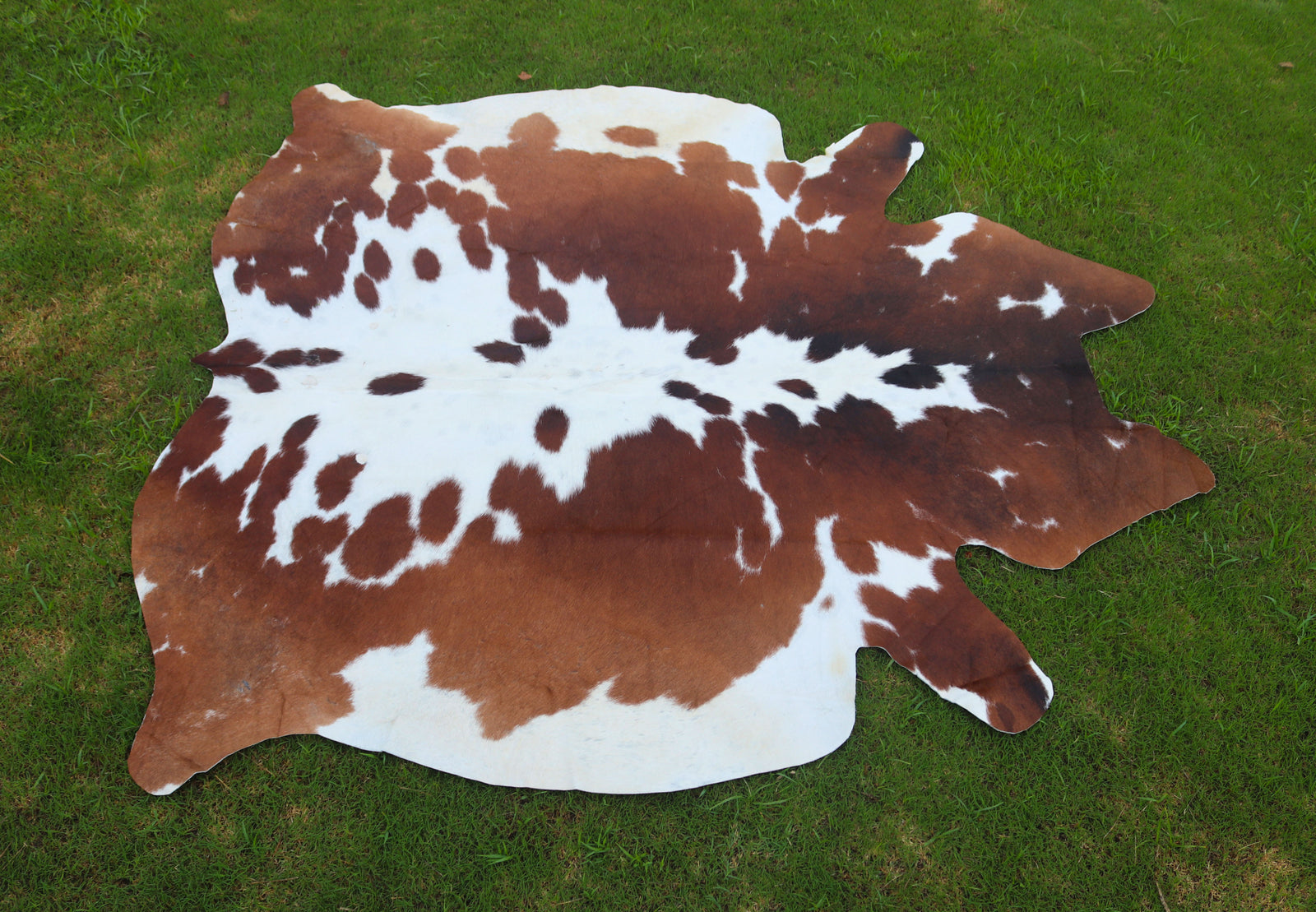 Reddish Brown and White Luxury Hereford Cowhide Rug