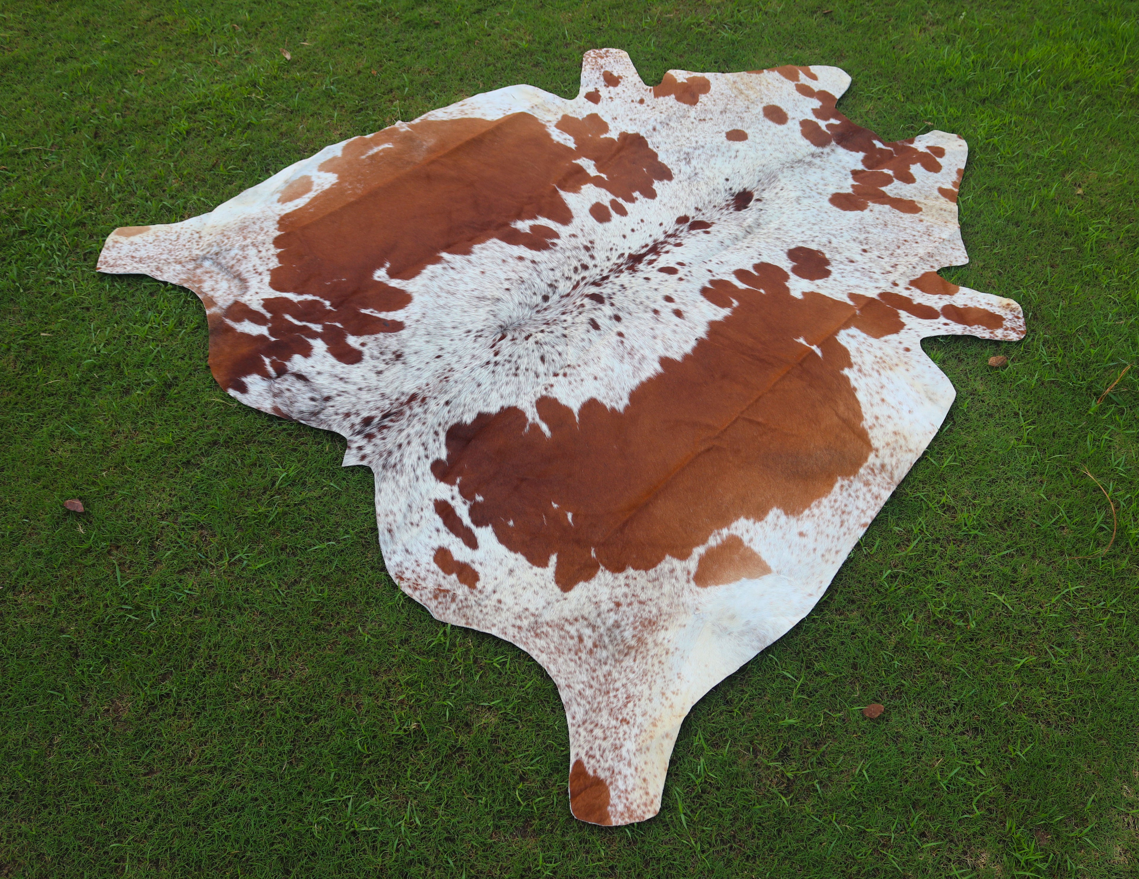 Premium Brown and White Hereford Cowhide Rug
