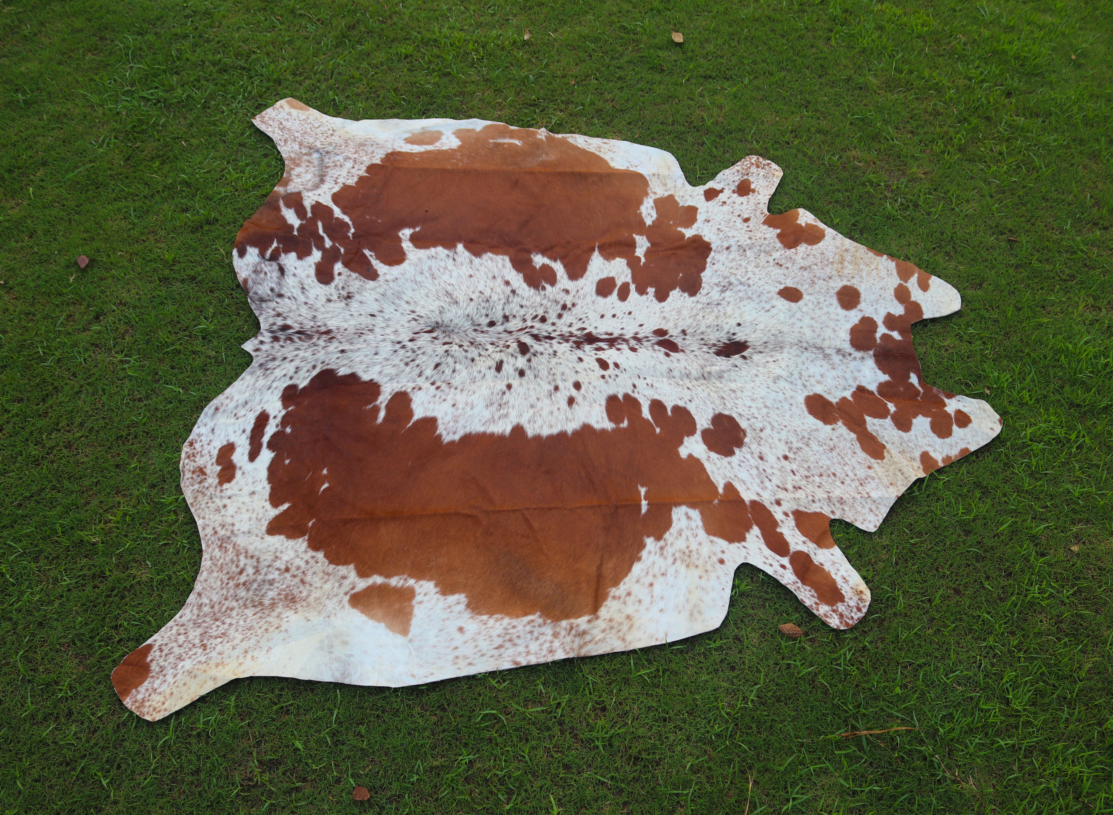 Premium Brown and White Hereford Cowhide Rug