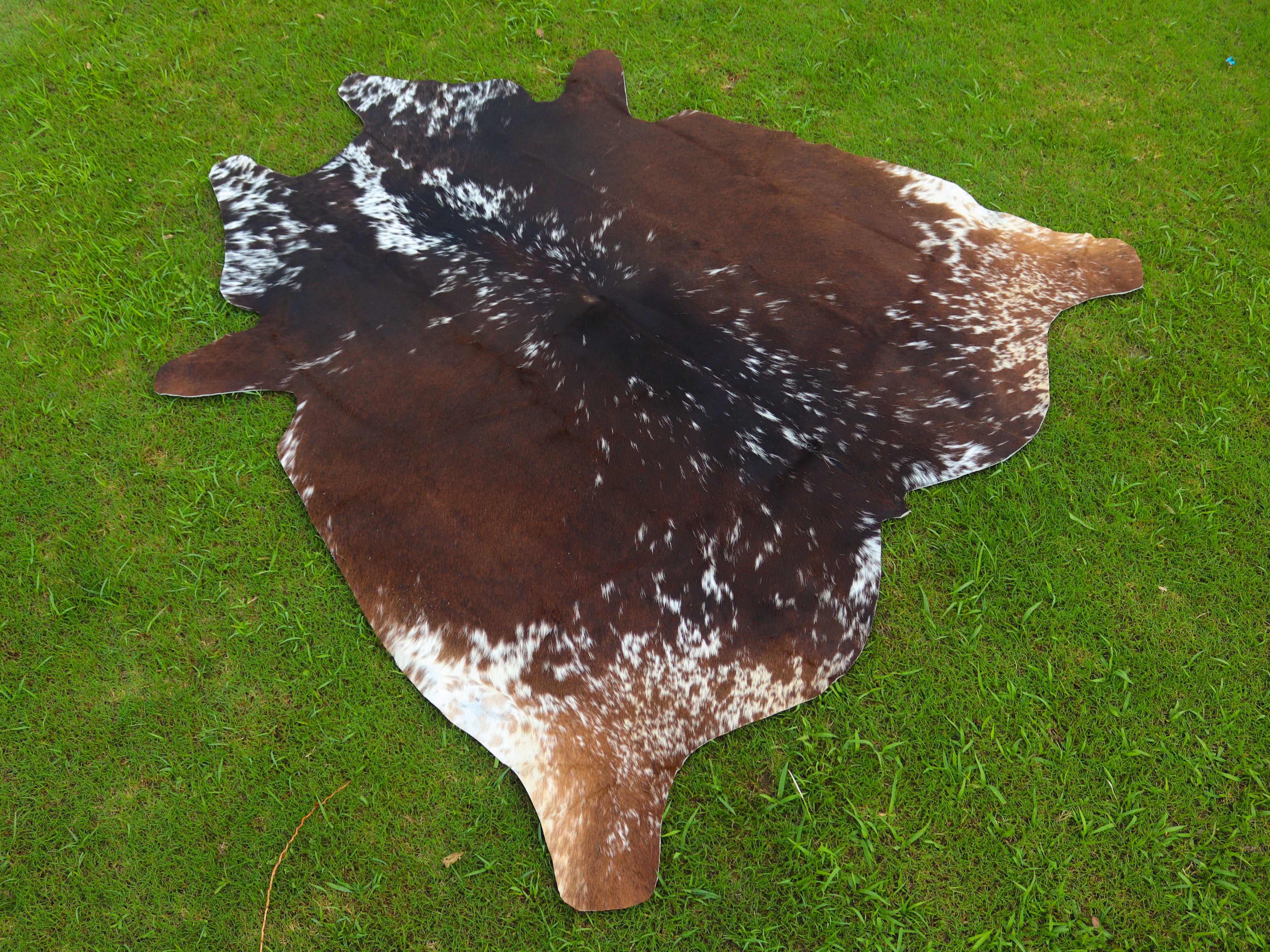 Reddish Brown and White Tricolor Cowhide Rug