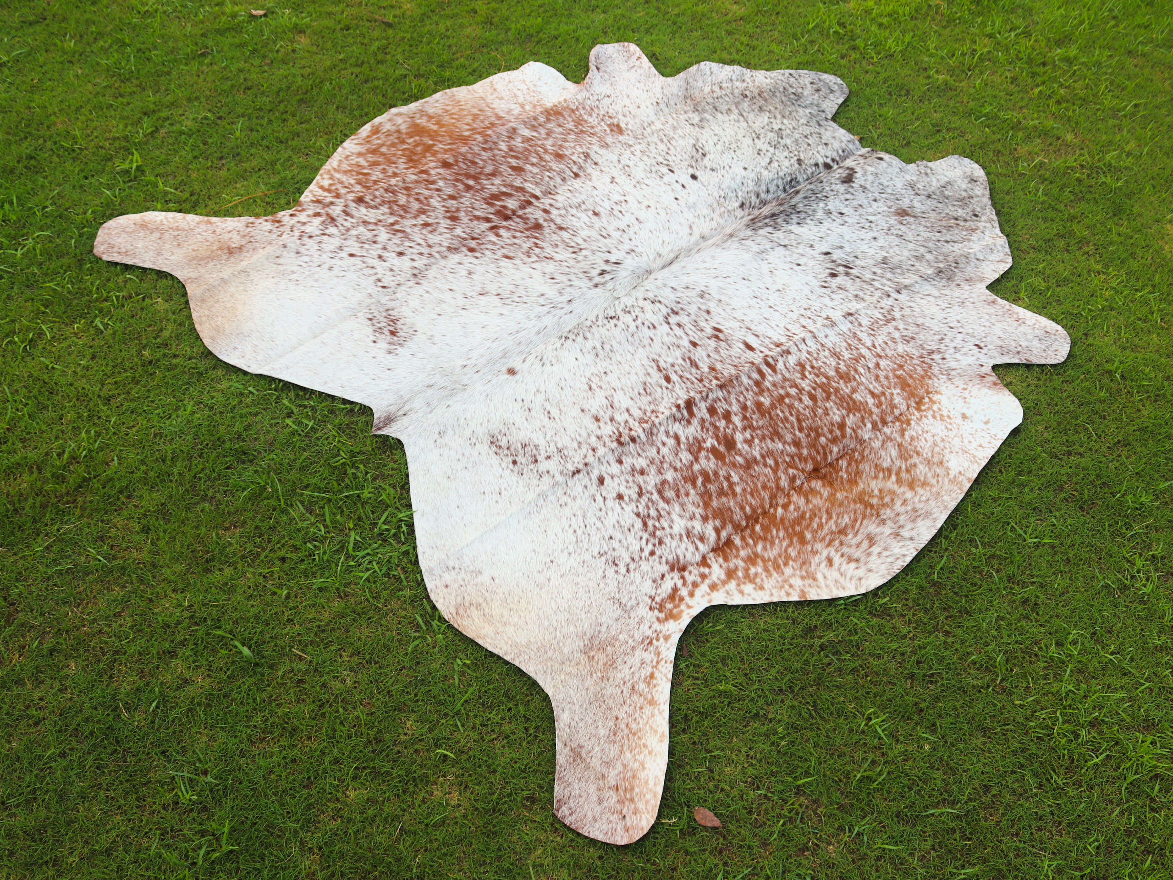 Brown and White Cowhide Rug with Salt and Pepper Print