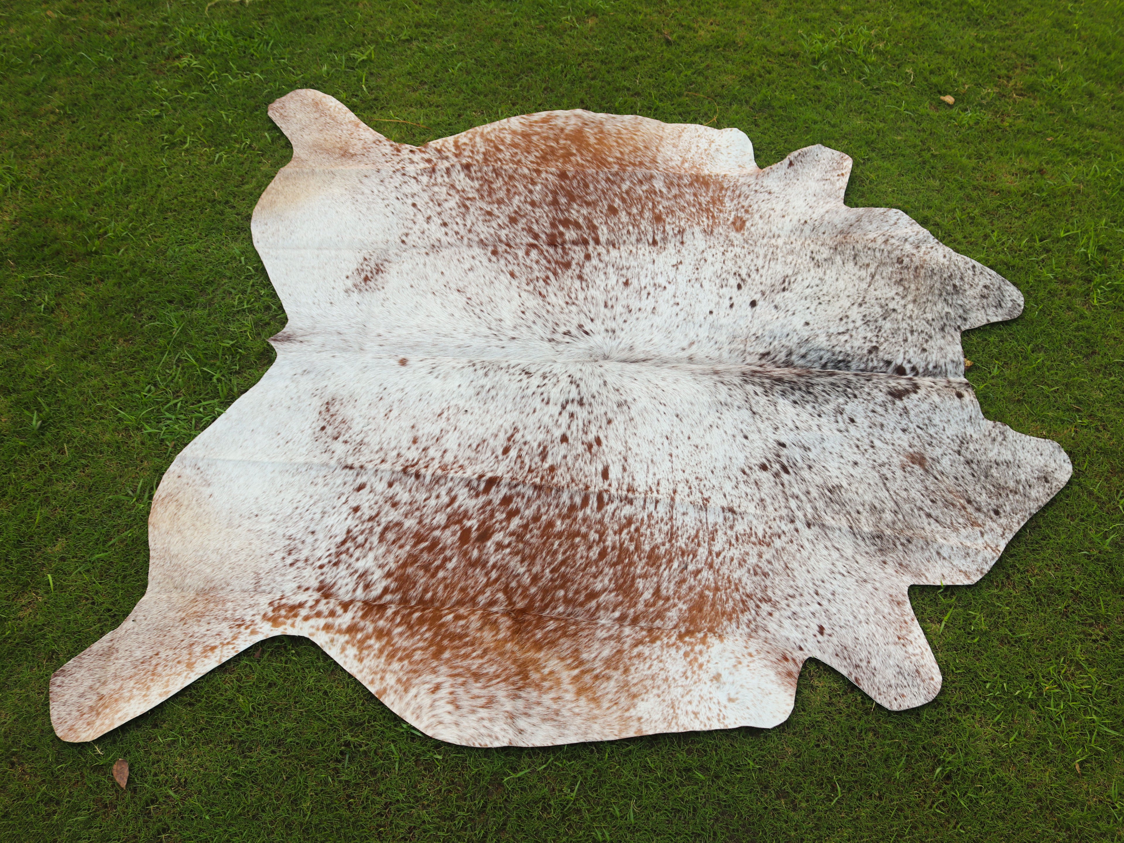 Brown and White Cowhide Rug with Salt and Pepper Print