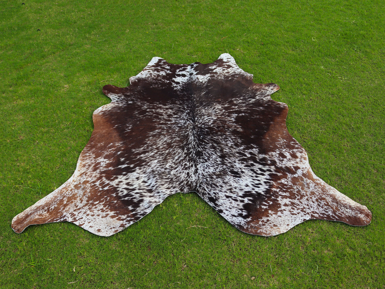 Tricolor Cowhide Rug with Unique Print