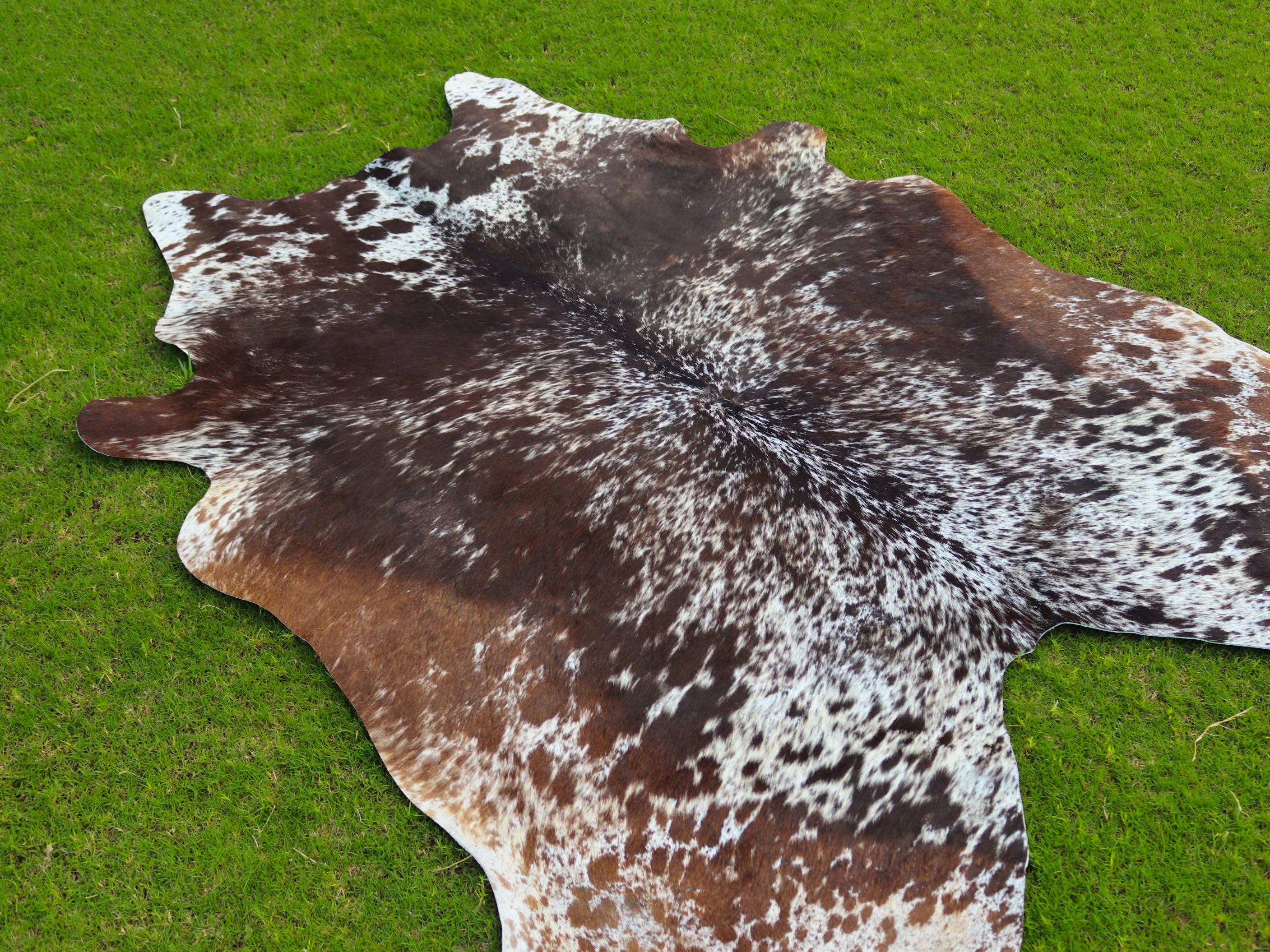 Tricolor Cowhide Rug with Unique Print
