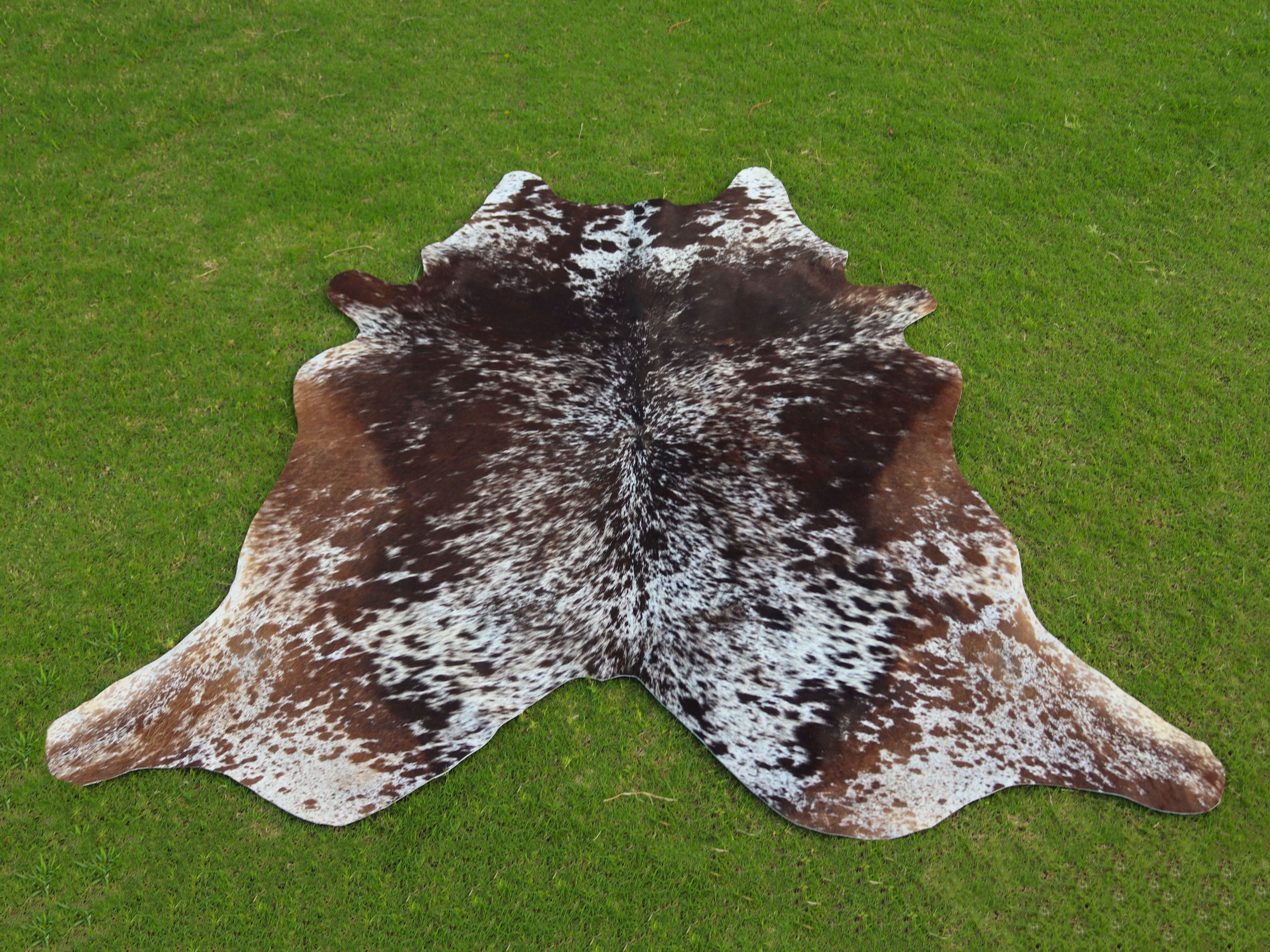 Tricolor Cowhide Rug with Unique Print