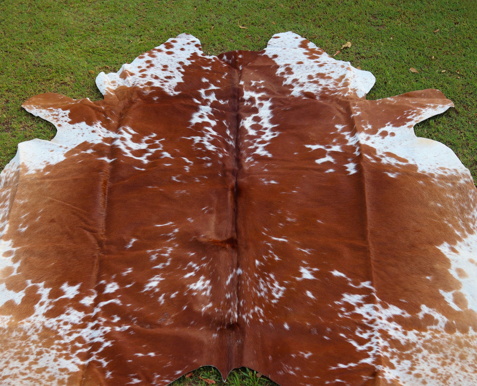 Tan And White Cowhide Rugs Style 07