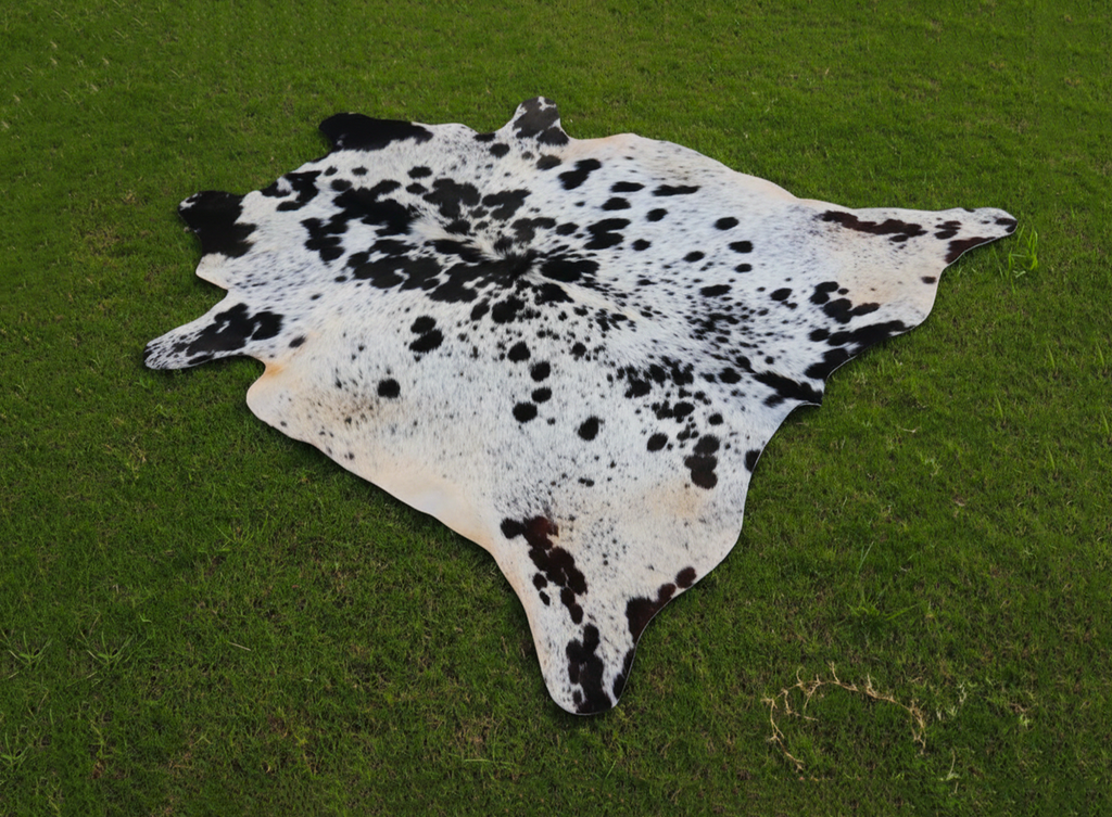 Exclusive Black and White Spotted Cowhide Rug