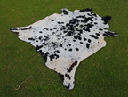 Exclusive Black and White Spotted Cowhide Rug