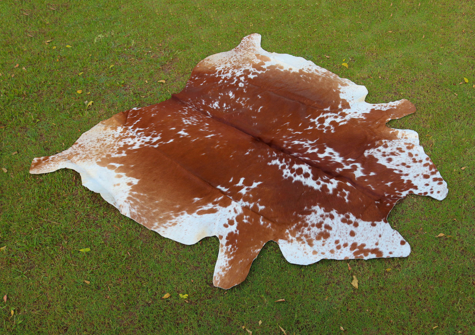 Tan And White Cowhide Rugs Style 07