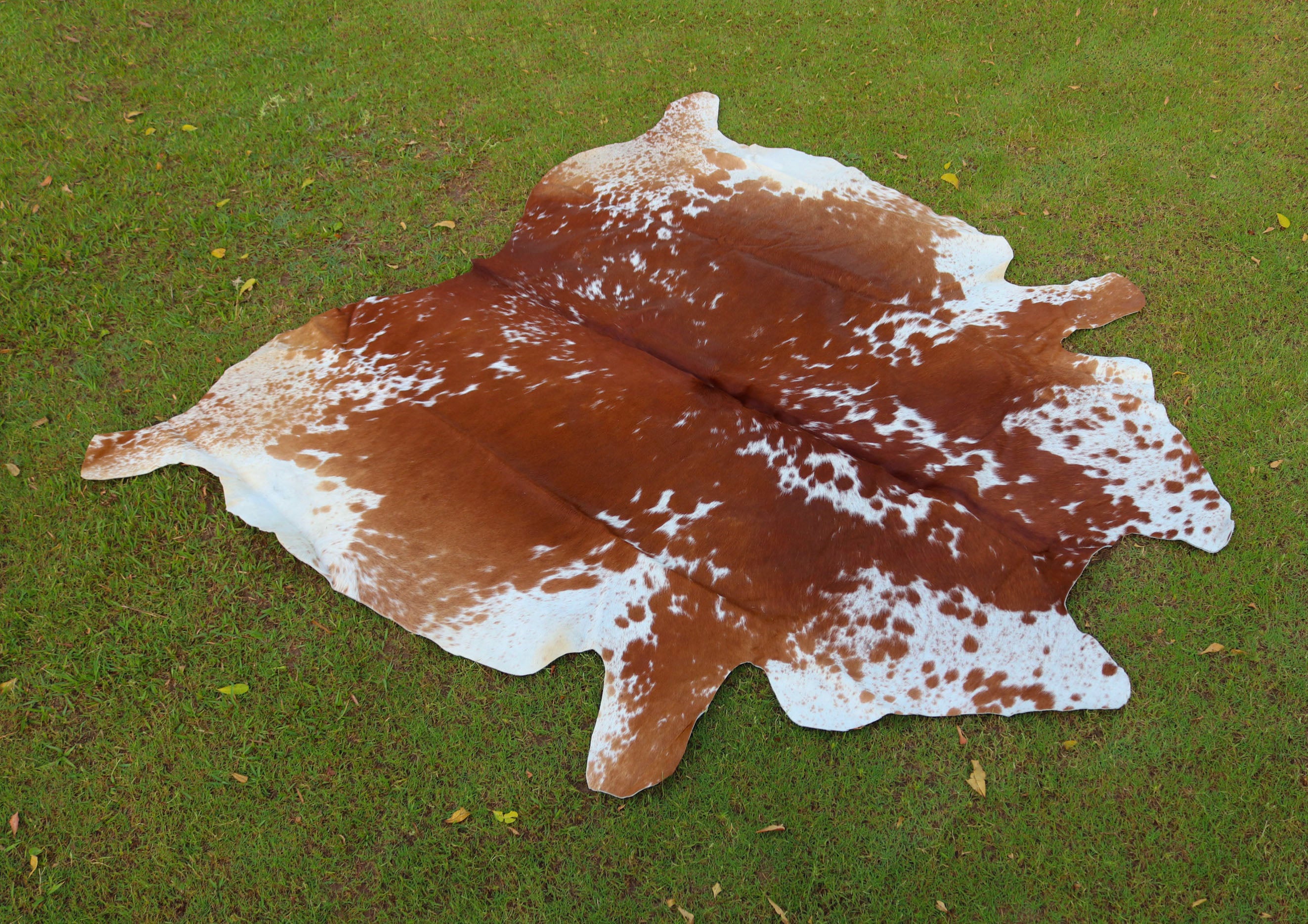 Tan And White Cowhide Rugs Style 07